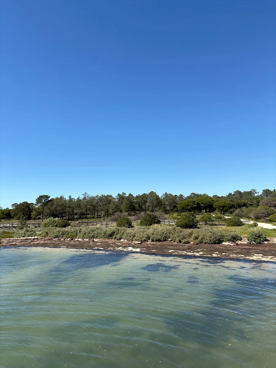 30 mars - Olhão - Algarve