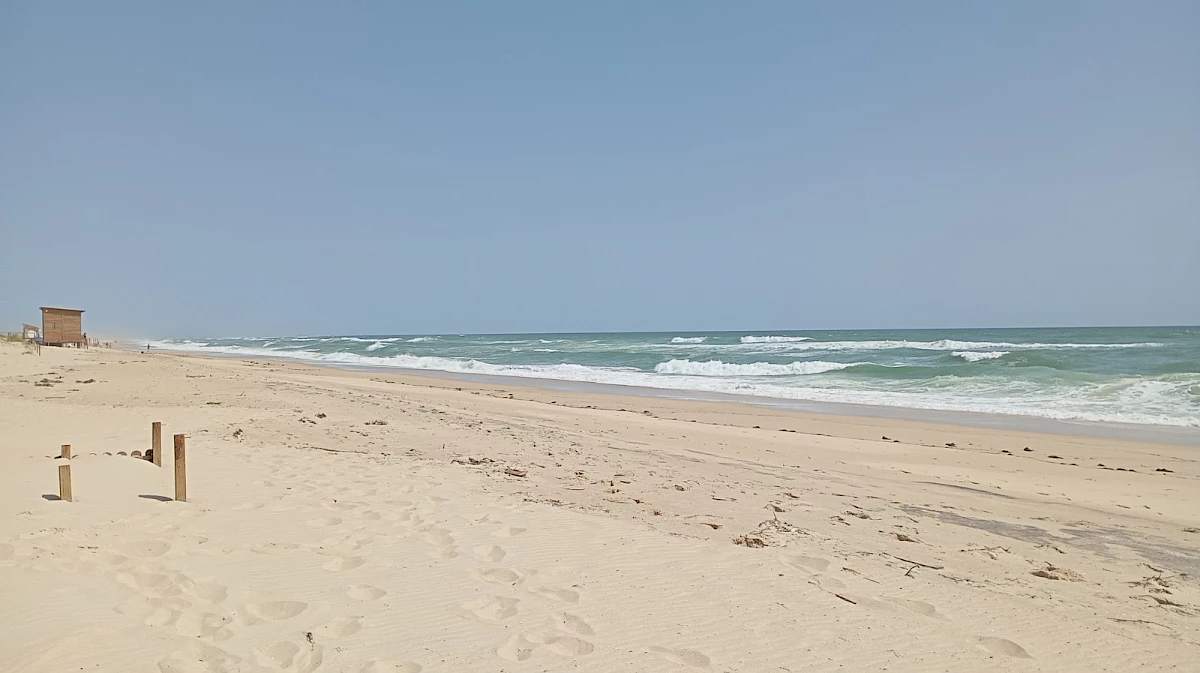 31 mars - Ilha da Culatra- Algarve