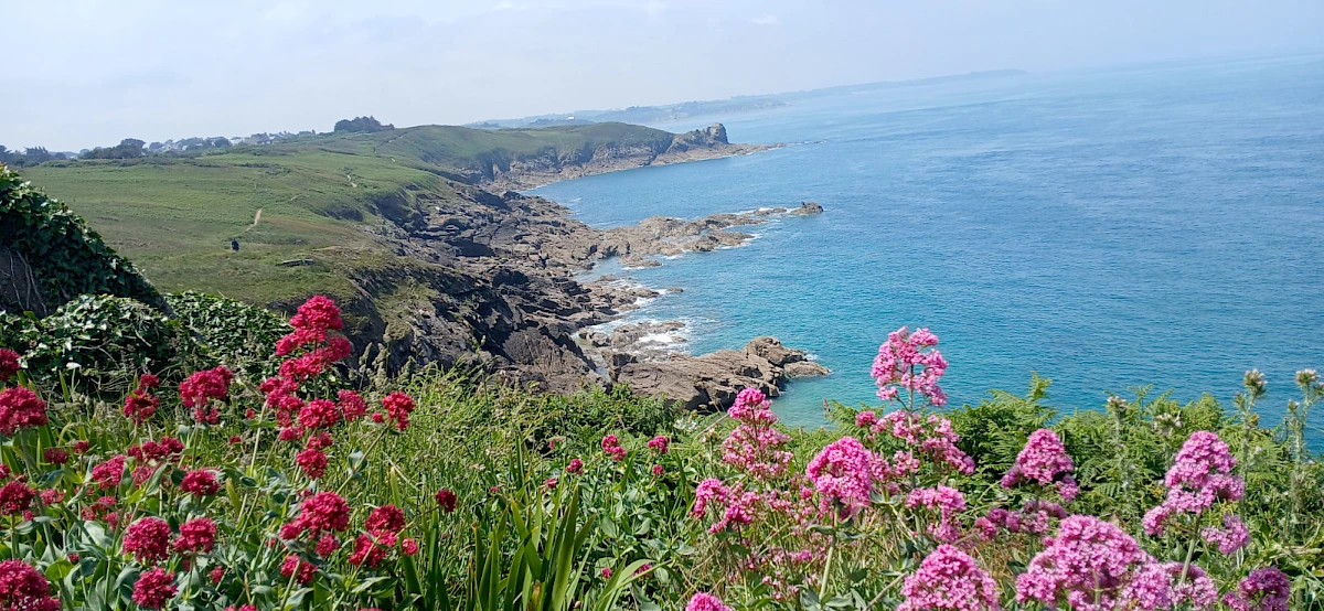 Pointe du Grouin - Ille-et-Vilaine