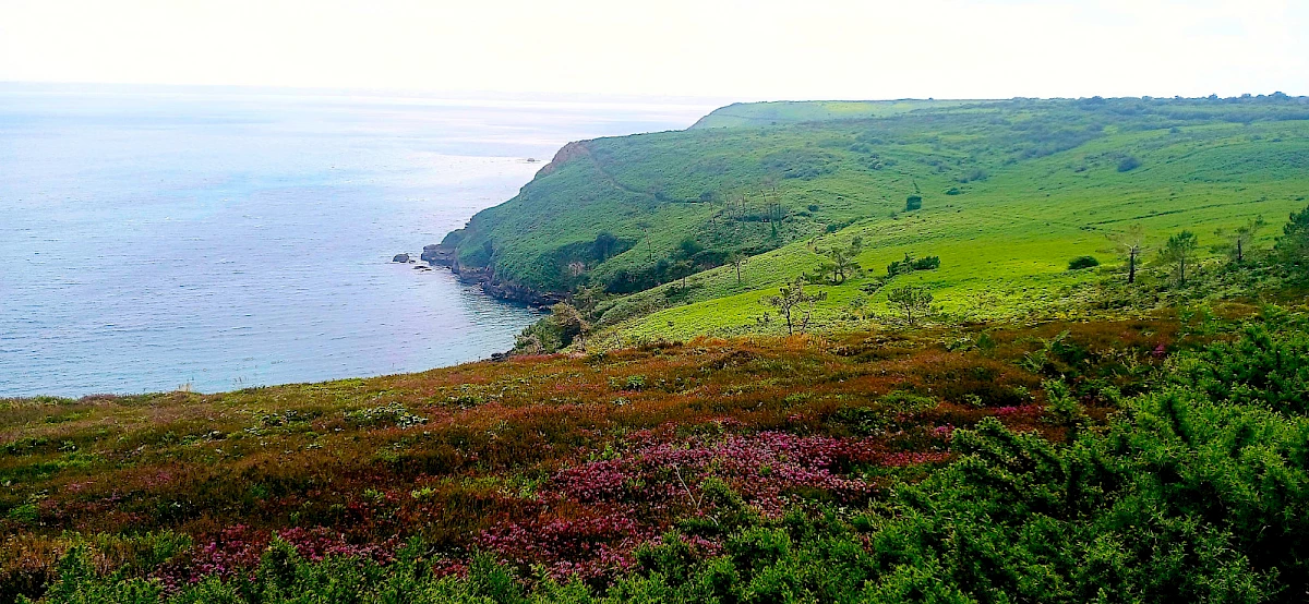 Presqu’île de Crozon - Cap de la Chèvre